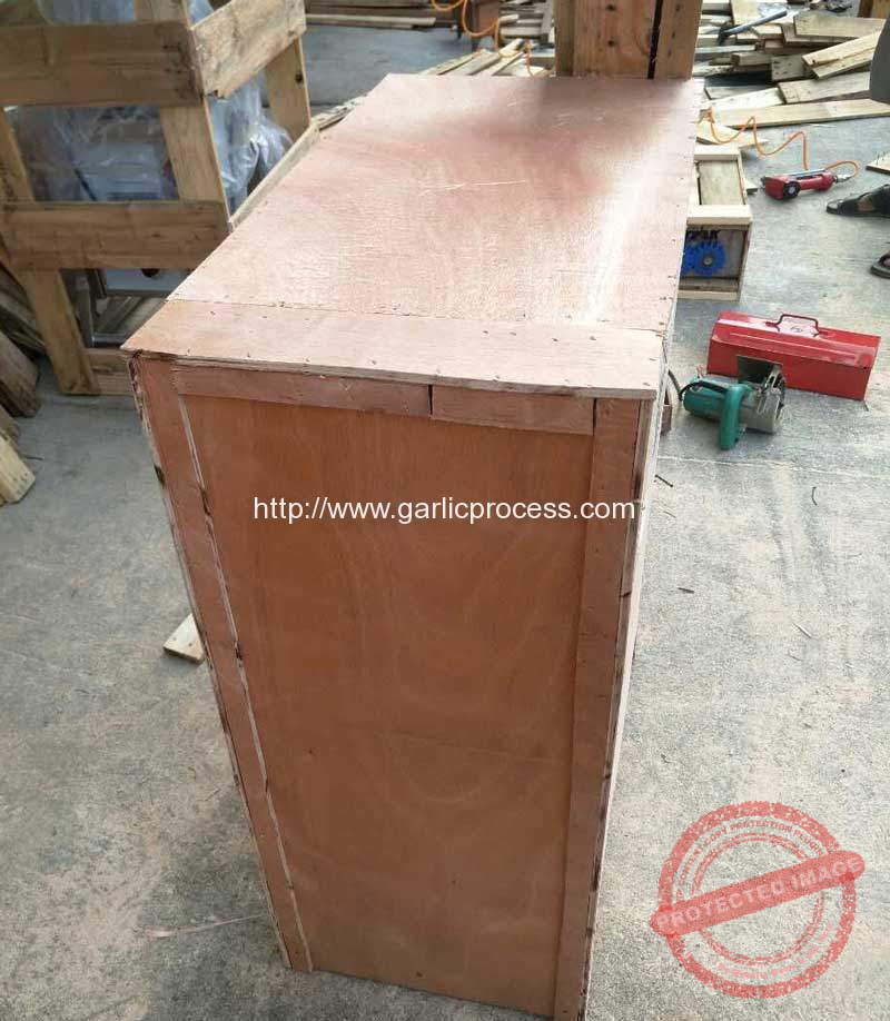 Garlic-Paste-Making-Machine-Delivery-Package